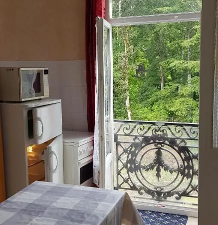 Room In Studio - Furnished Studio In A Quiet Area Not Overlooked At La Bourboule Dpt 63 *