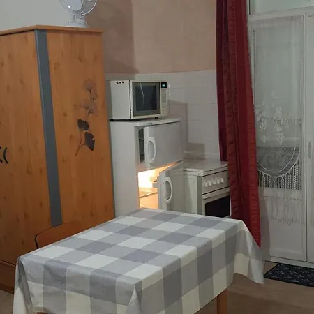Room In Studio - Furnished Studio In A Quiet Area Not Overlooked At La Bourboule Dpt 63 *